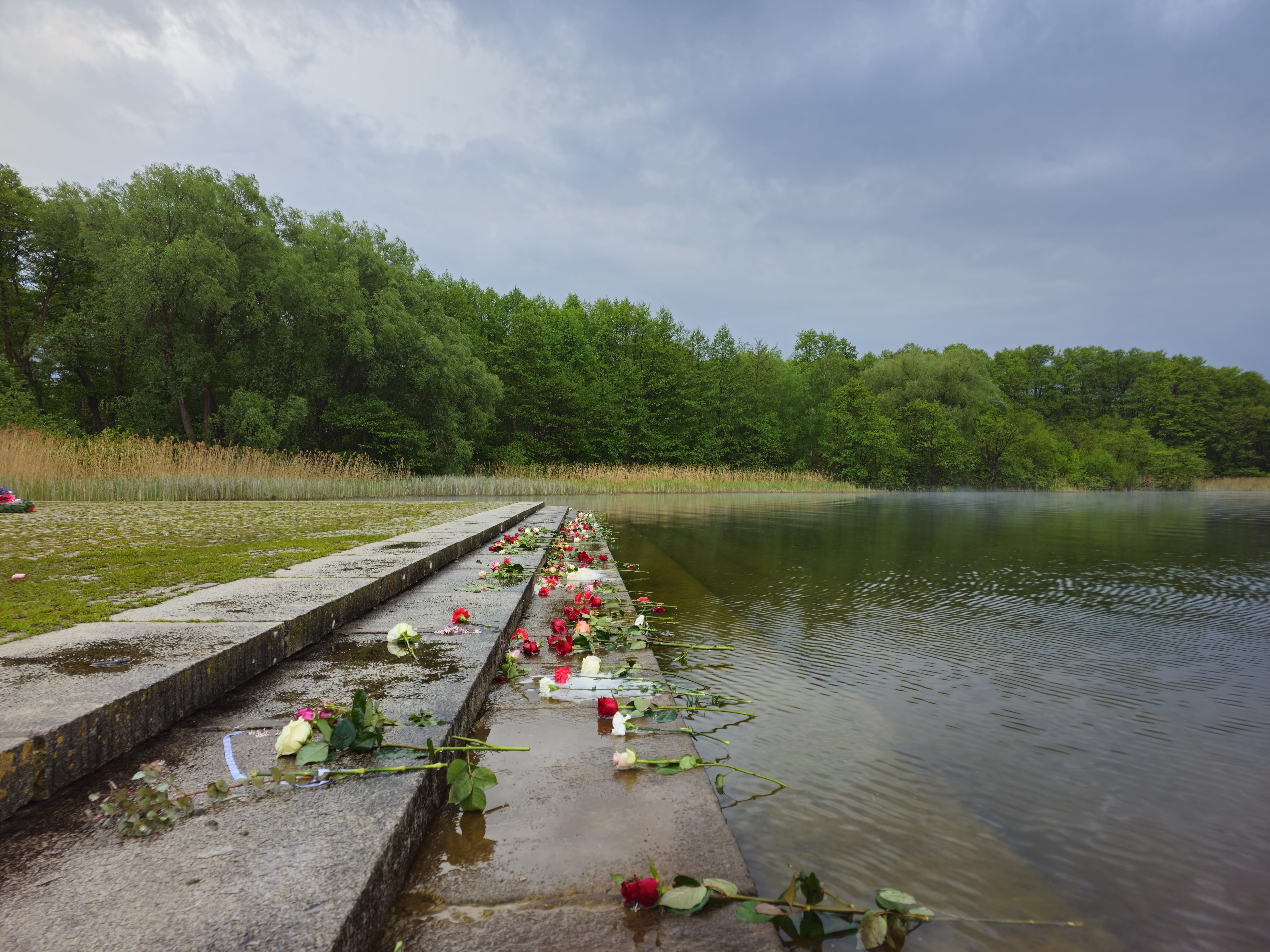 Konzentrationslager Ravensbrück. Blumen der Gedenkfeier am 4.5.2025