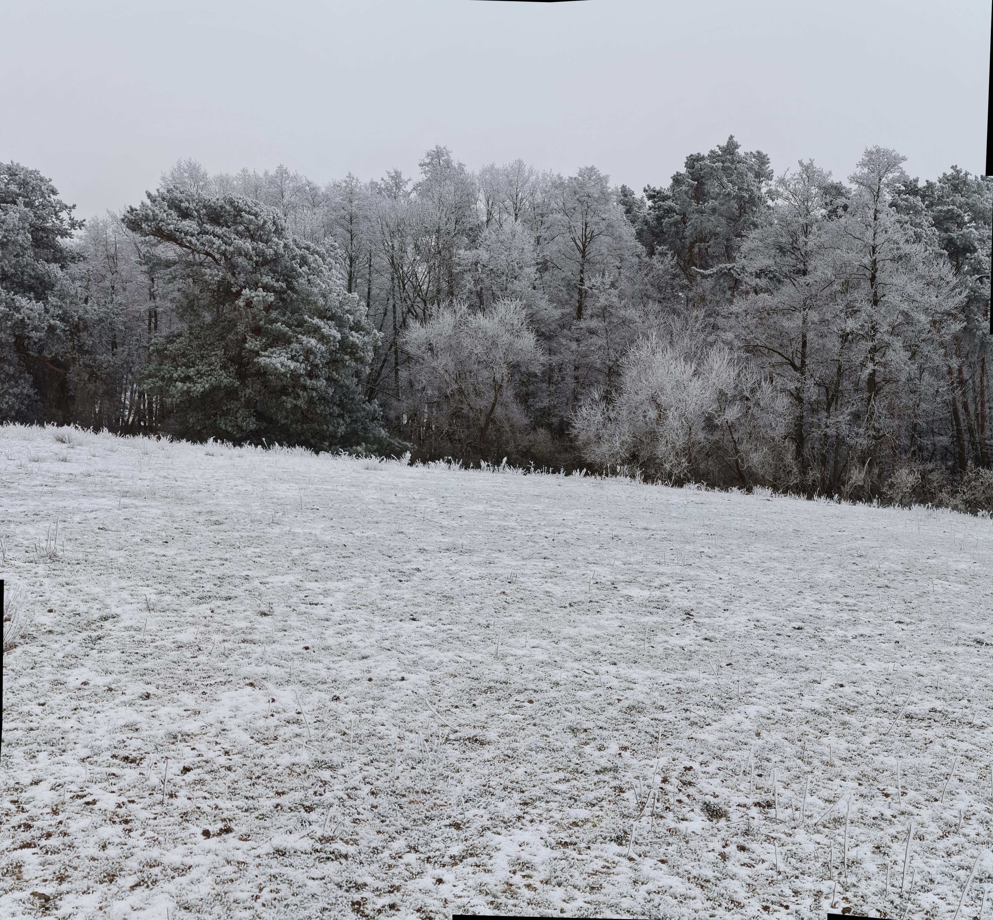 Winterlandschaft in Brandenburg, abfallend