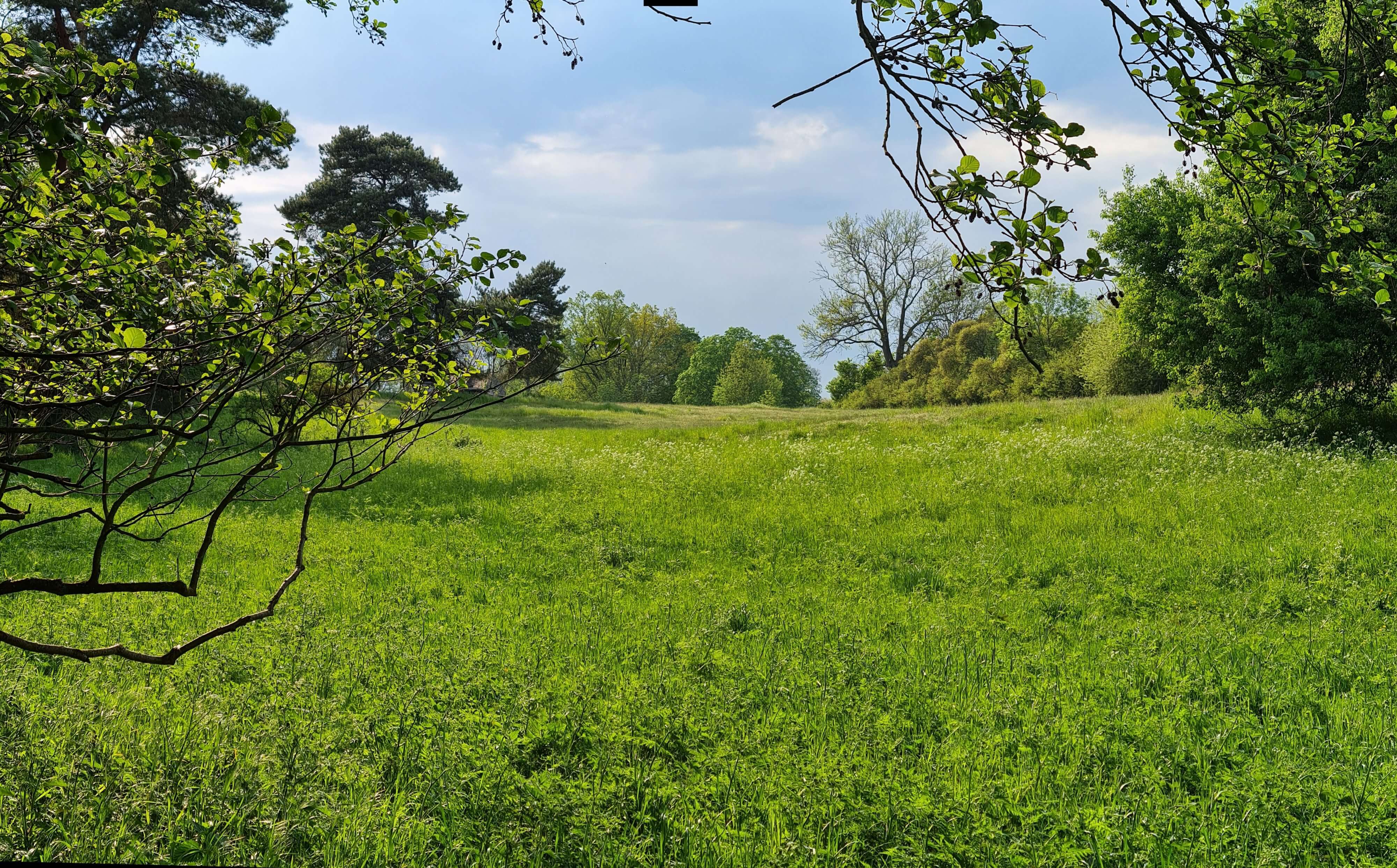 Mailandschaft in Brandenburg