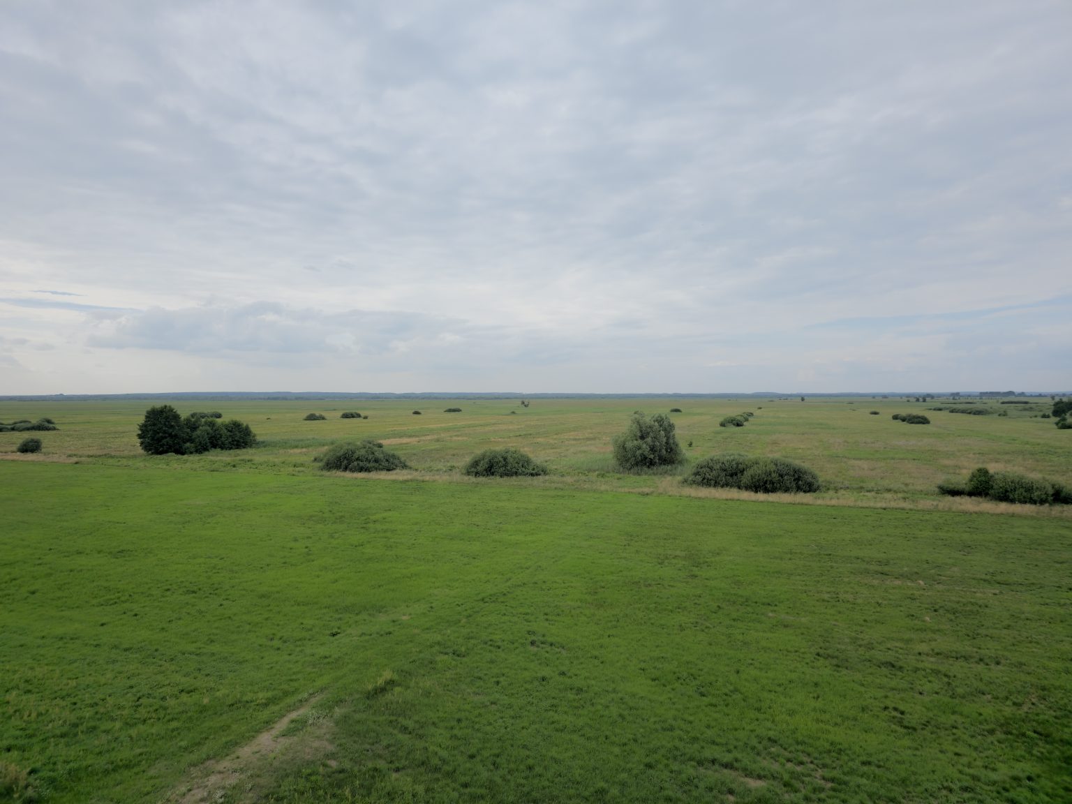Blick übers Warthebruch