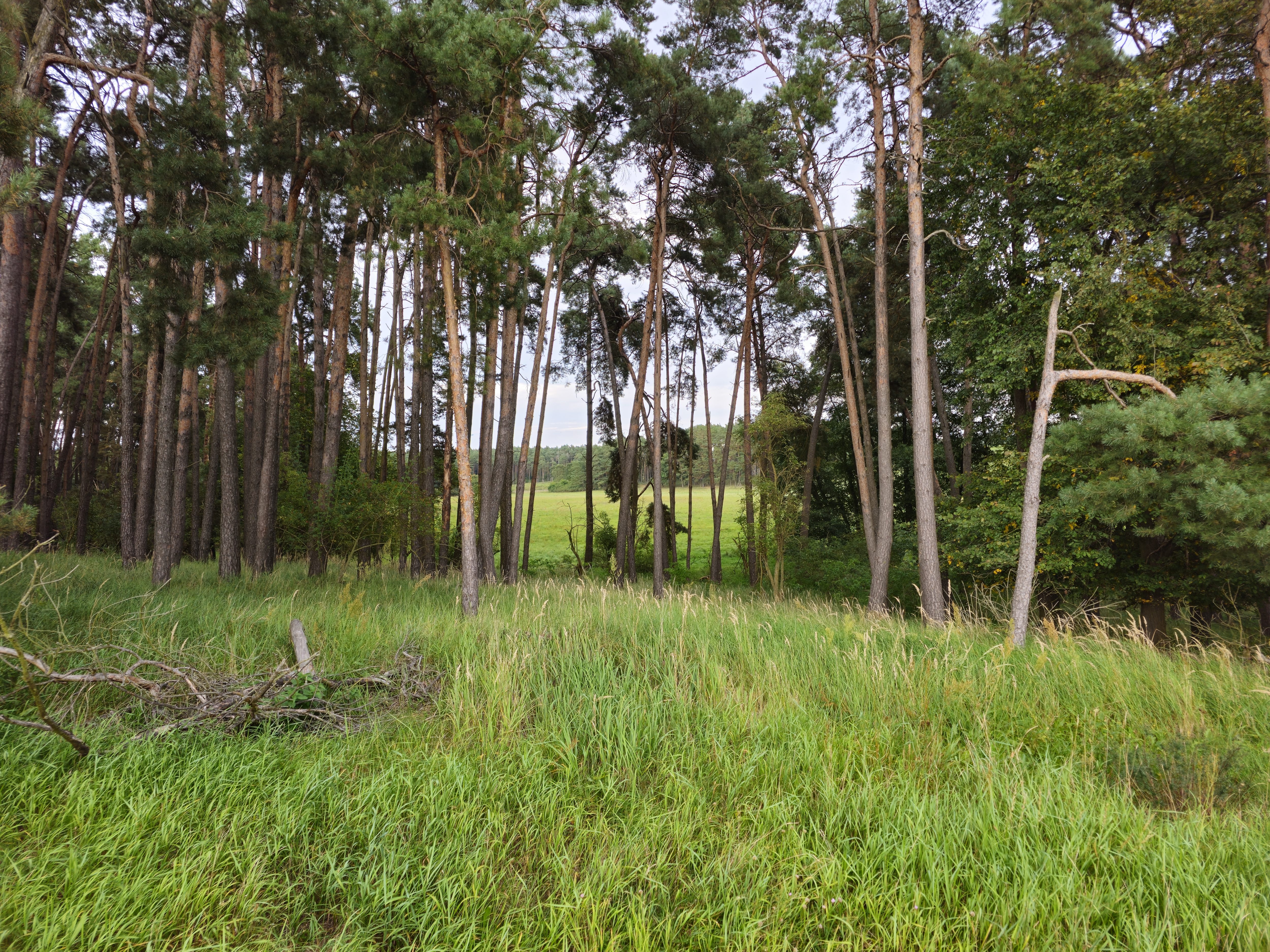 Landschaft in Brandenburg bei der Gemeinde G