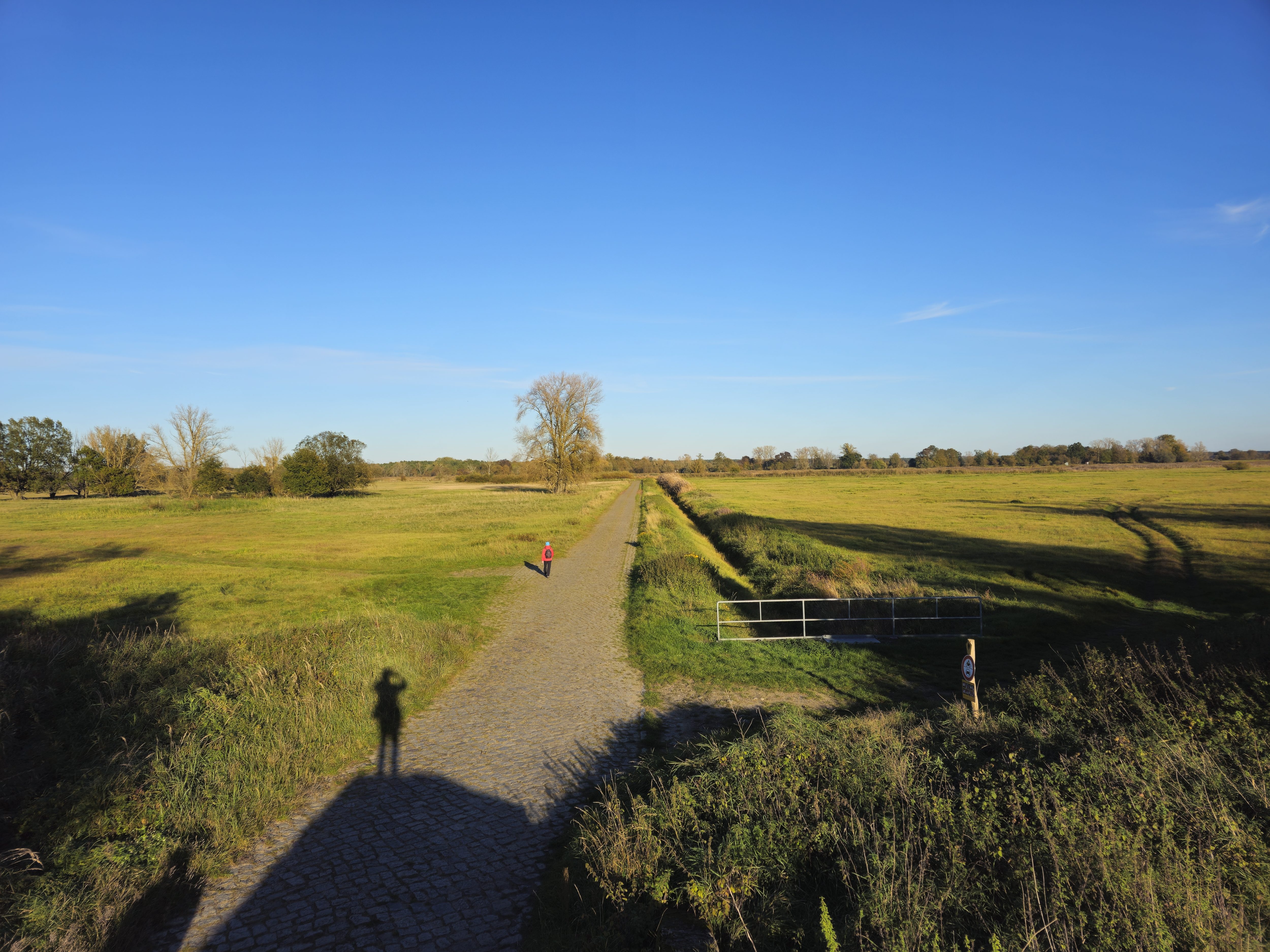Im Oderbruch. Blick richtung Osten
