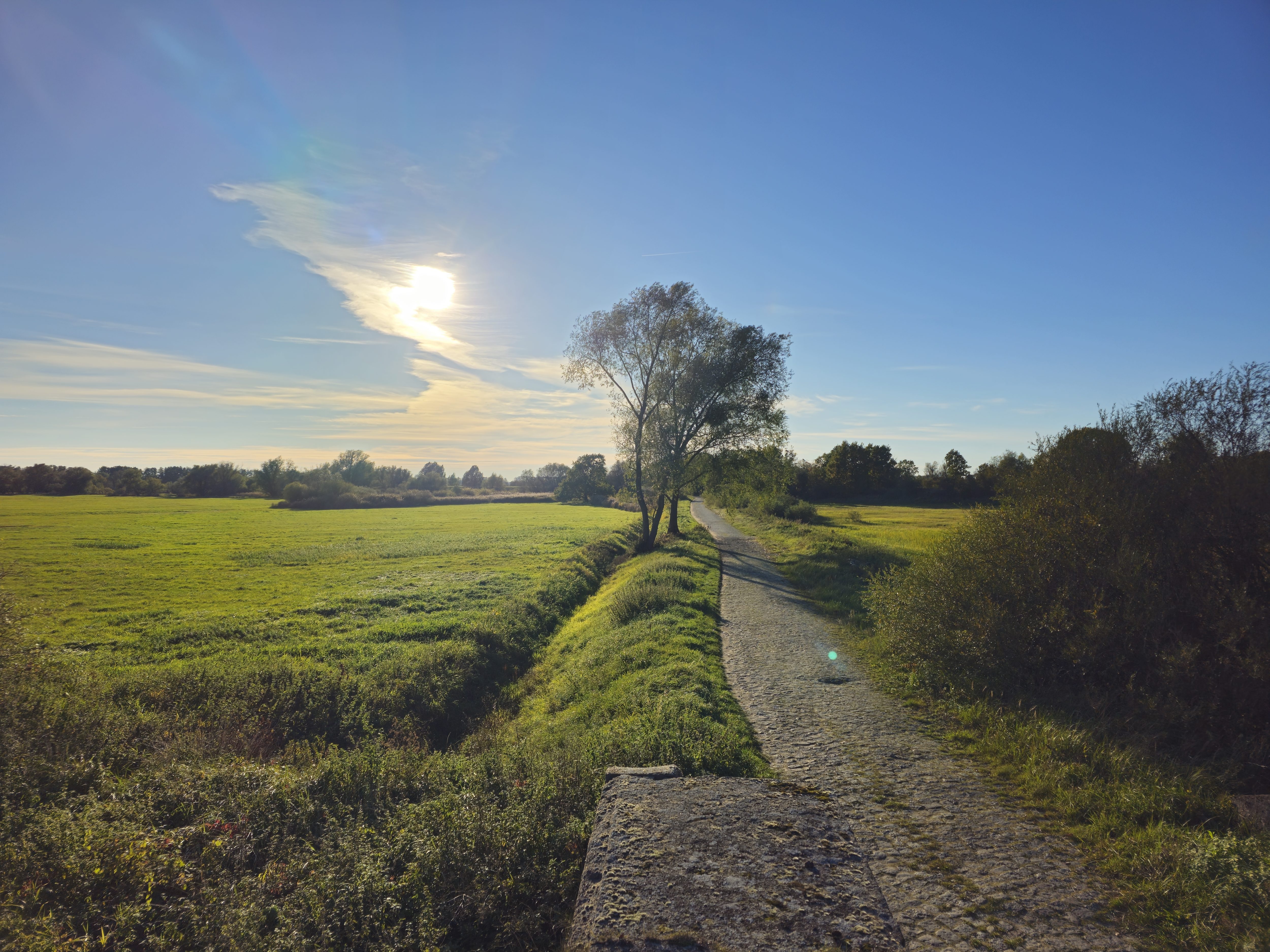 Oderbruch. Blick nach Westen.