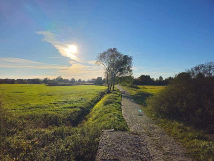 Oderbruch nach Westen