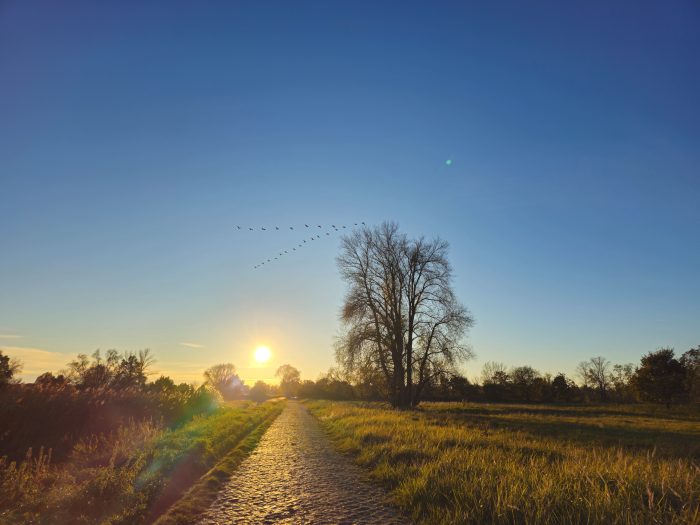 Sonnenuntergang im Oderbruch