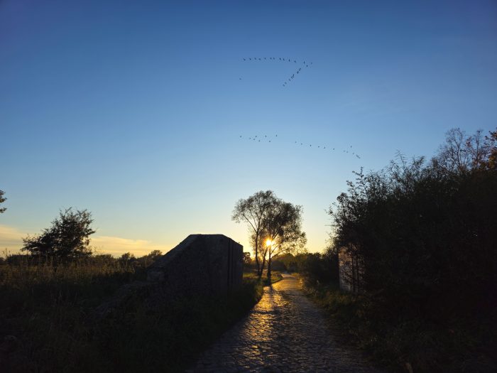 Sonnenuntergang im Oderbruch