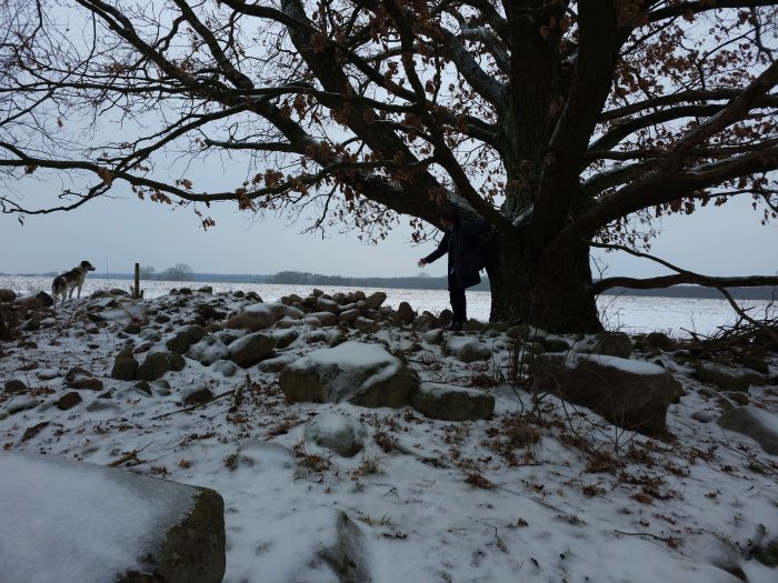 Dirk Walther unter einer Eiche im Winter mit Hund