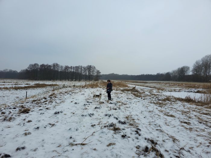Dirk Walther in Winterlandschaft mit Hund
