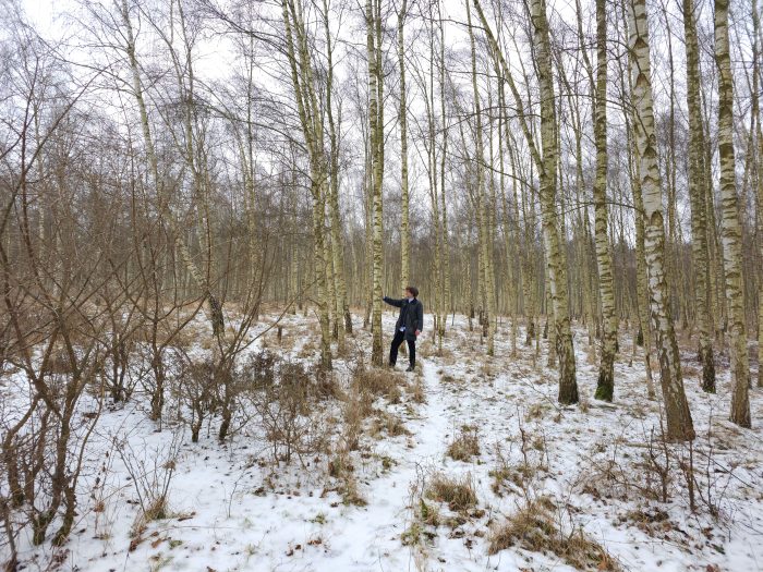 Dirk Walther in einem Birkenhain